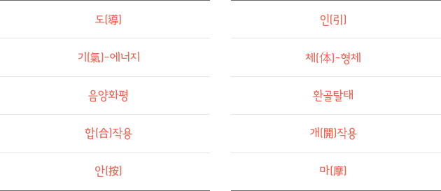 도인과 안마