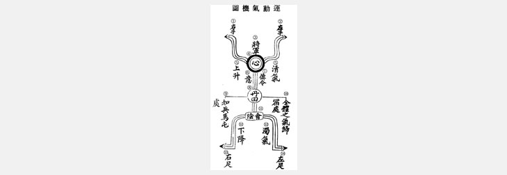 태극권 경력