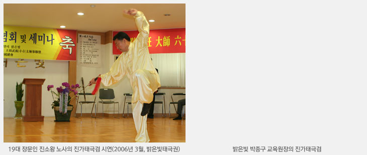 진가태극검