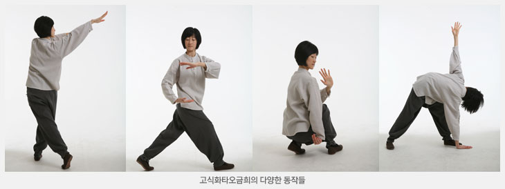 태극권 소가식