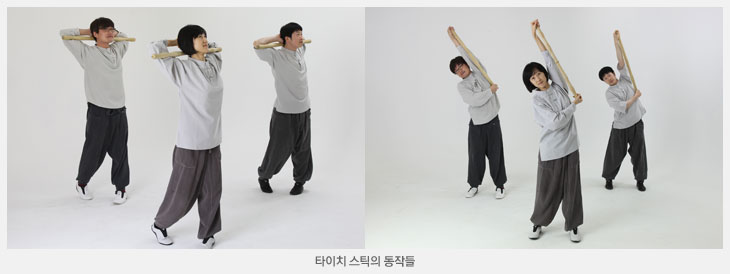 타이치 스틱