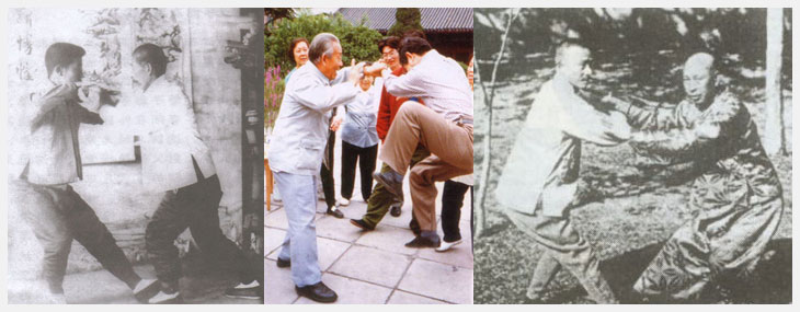 태극 추수